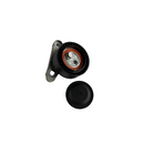 RODILLO TENSOR CORREA GOL 1,6 AT