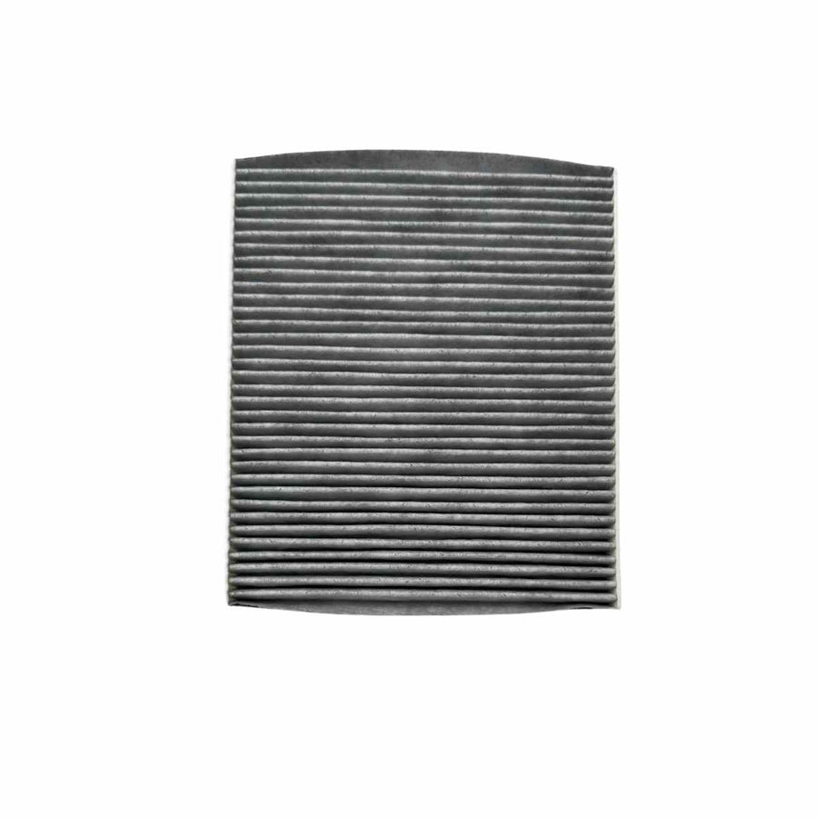 FILTRO ANTIPOLEN TERAMONT 3.6 L